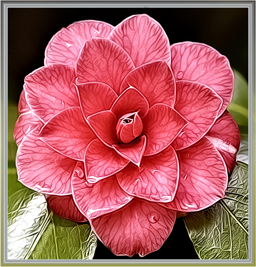 Inner Beauty